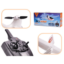 RC самолет WL Toys Sky King F959S, 2,4GHz
