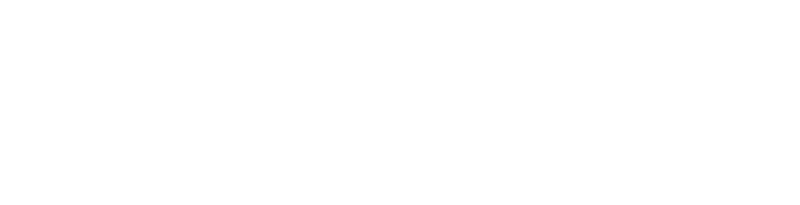Autozulu